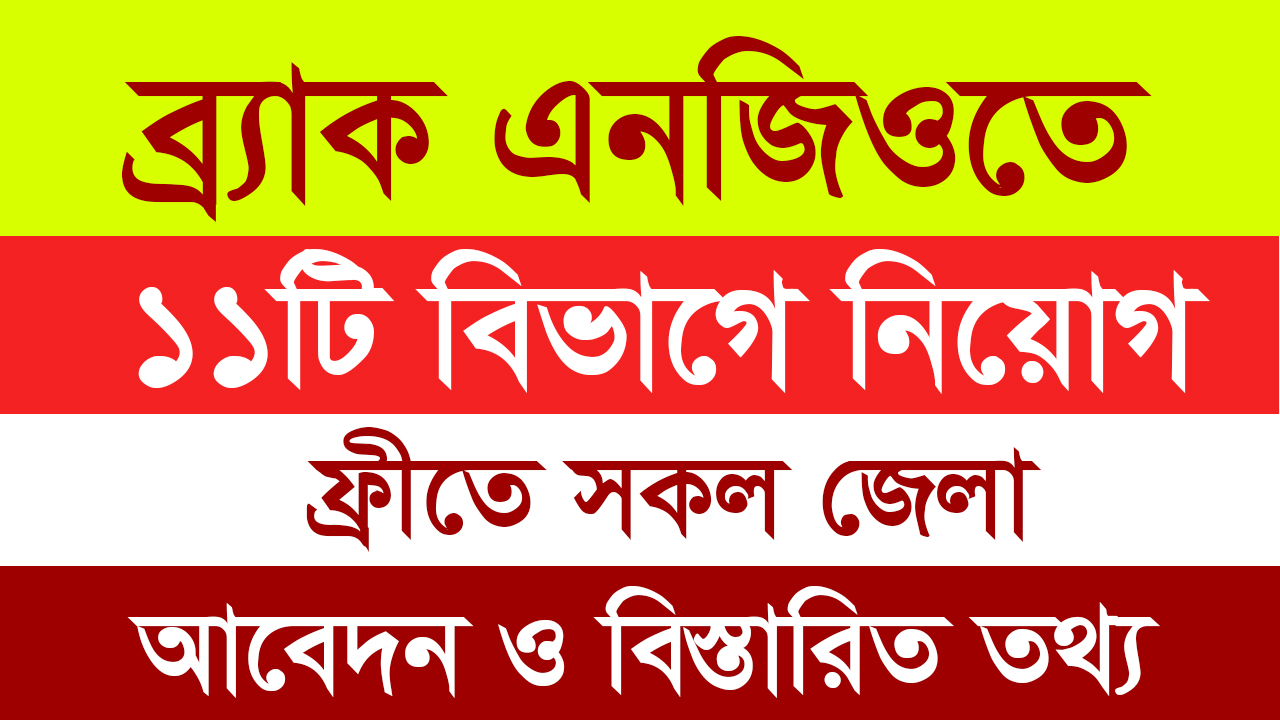 Brac ngo job circular 2024